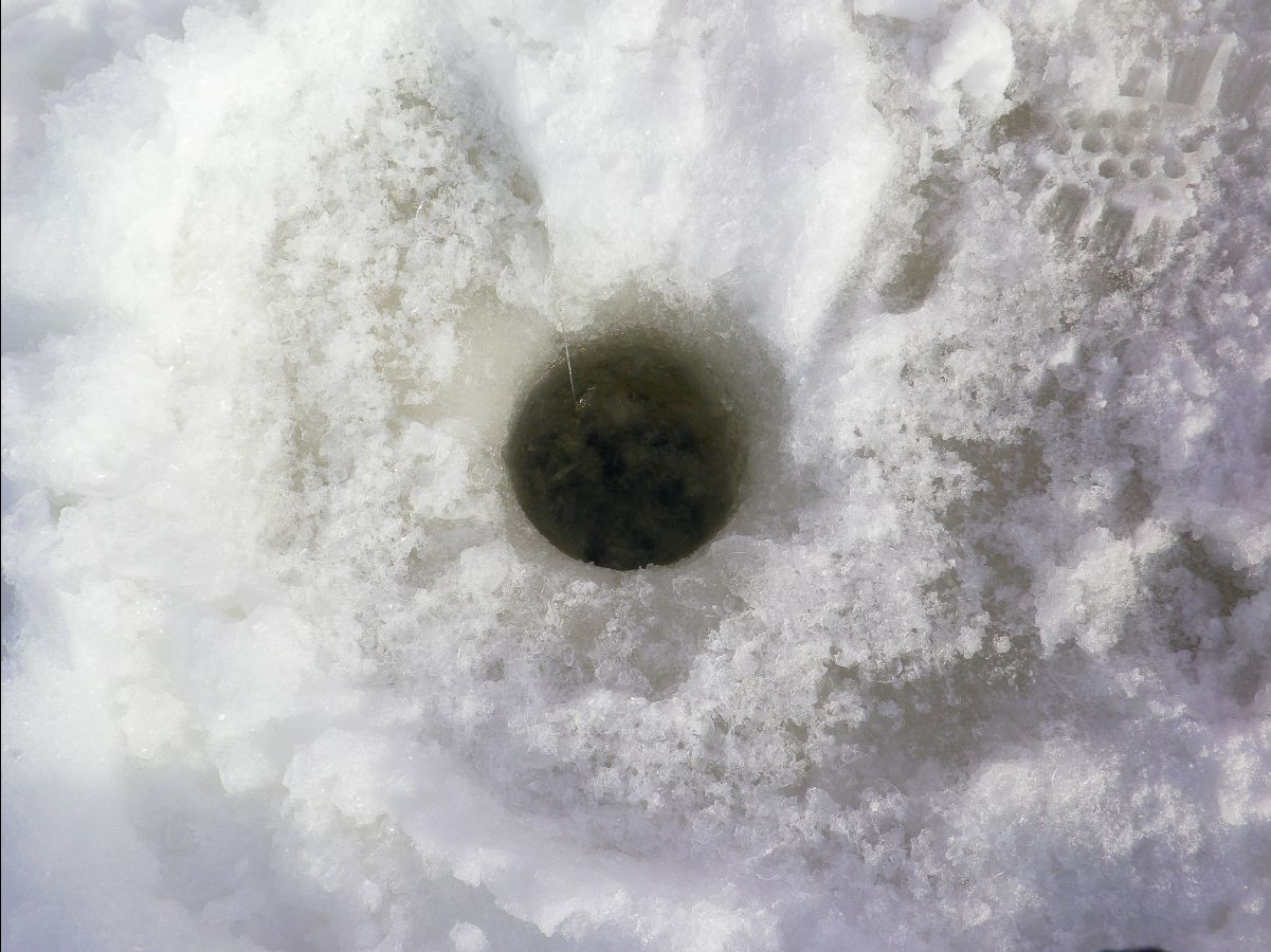 Ice Fishing22